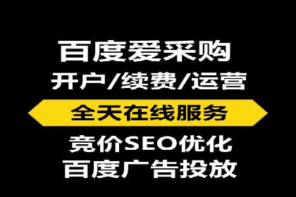 竞价托管服务案例解析
